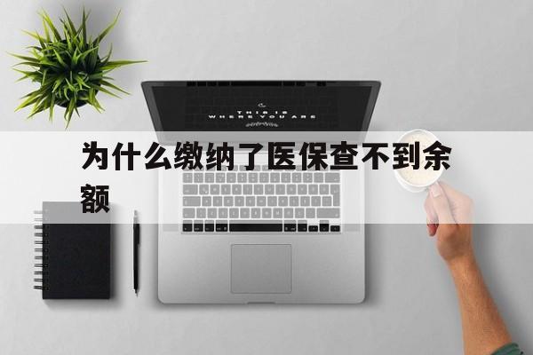 象山最新为什么缴纳了医保查不到余额方法分析(最方便真实的象山医保交了费怎么查不到方法)